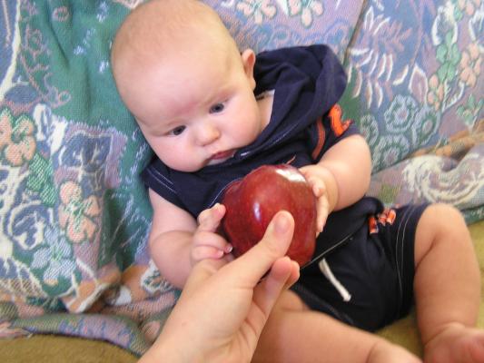 Noah's first Sin.