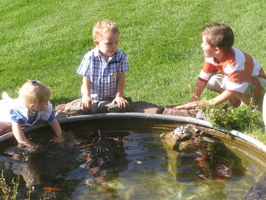 Sarah, Noah and another boy admire the goldfish.