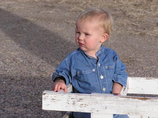 Noah rides in Great Grandma's wagon.