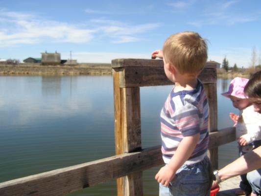 Noah throws rocks off the dock.