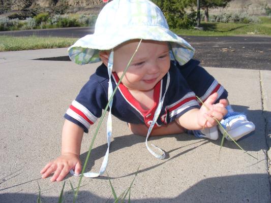 Joshua notices grass.