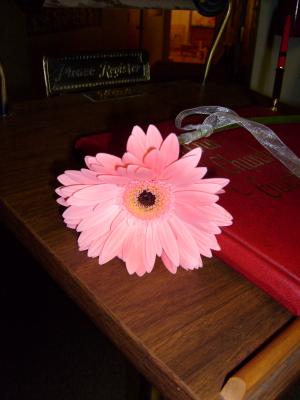 Jaimee's flower