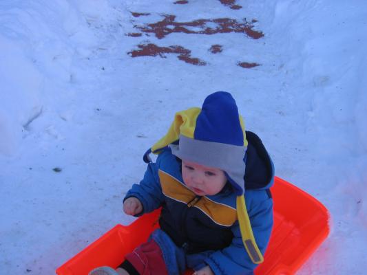 Noah goes sledding.