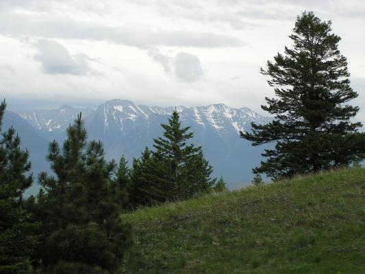 The Mission Mountains.