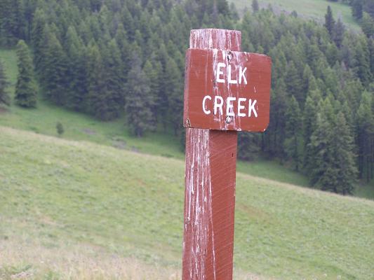 We saw elk at Elk Creek!