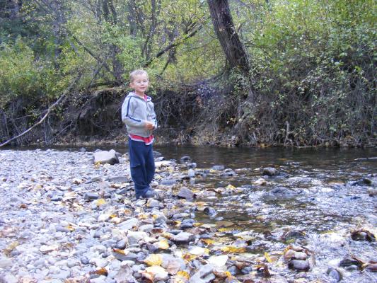 Noah by Sourdough creek.