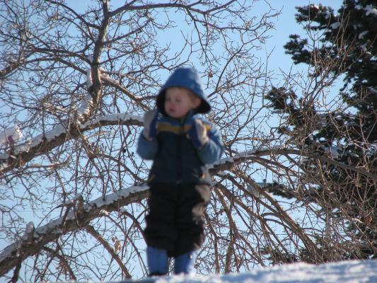 Noah eats some snow.