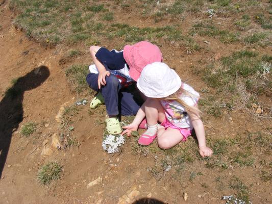 We stopped to look at some white flowers.