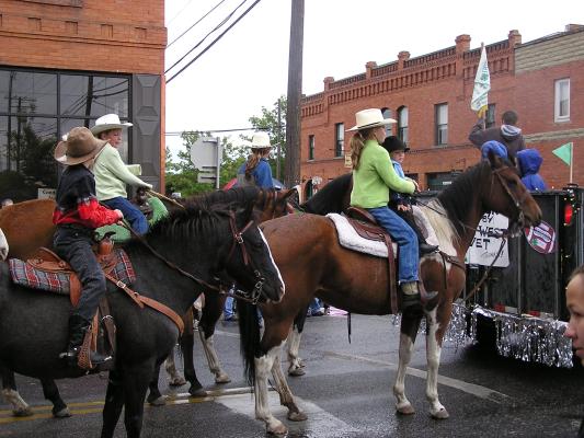 Horses in the Belgrade parade