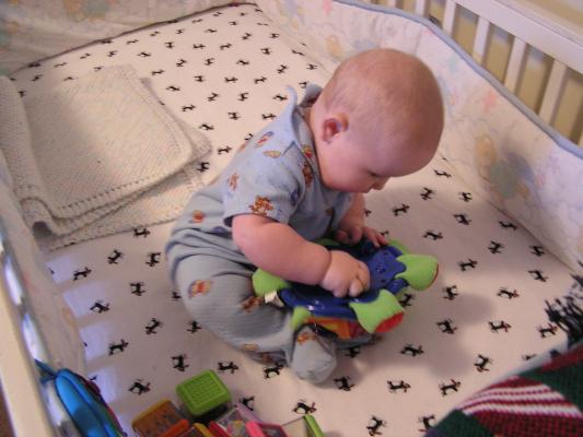 I need to learn to crawl. hmmm. Lets see how the turtle does it.