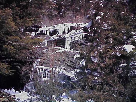On a hike to Mission Falls.