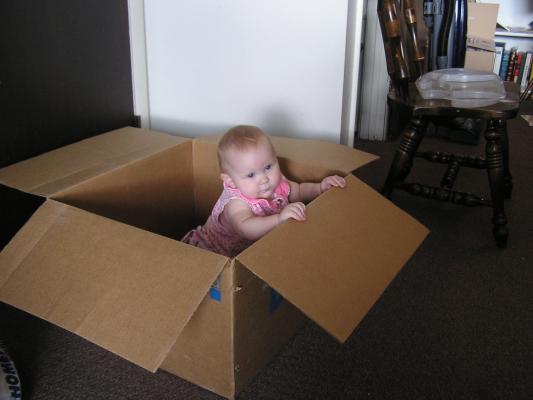 It's a Sarah in the box.