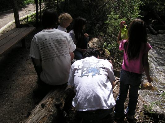 Everyone looks at the rocks and the water.