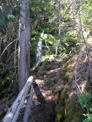 The little trickel of the waterfall we saw