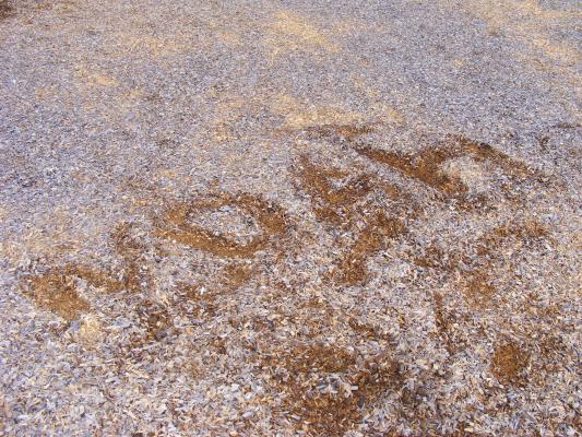 Noah's name in the wood chips.