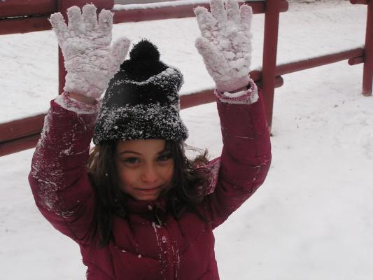 Andrea's gloves are covered in snow.