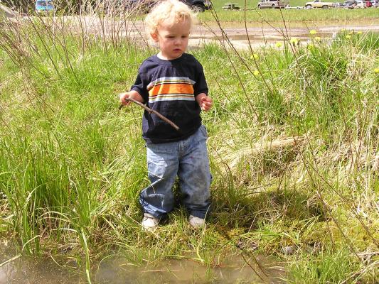 Noah back on dry land.