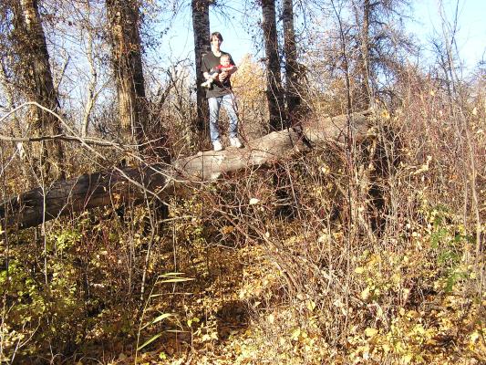 David and Noah walk on a log high off the ground.