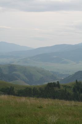 View from the Bison Range.
