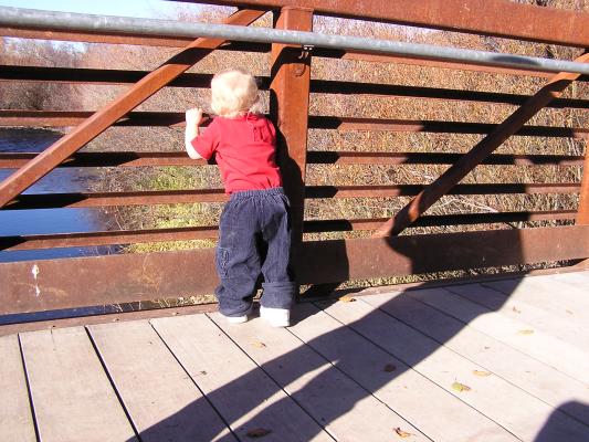 Noah looks out from the bridge.
