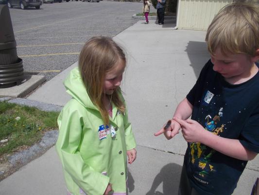 Lewis and Clark caverns caterpillar