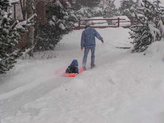 David pulls Noah in the sled.