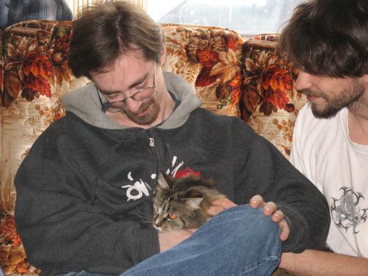 Jim and Mike pet the kitty.
