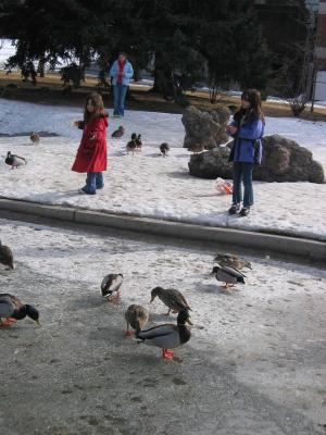 Andrea and Malia learning about ducks
at Montana State Univeristy.