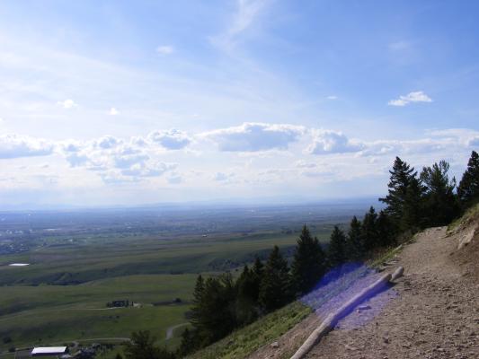 View from the 'M'