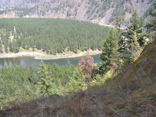 A view from Cascade Falls