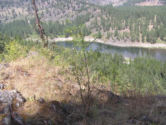 A view from Cascade Falls