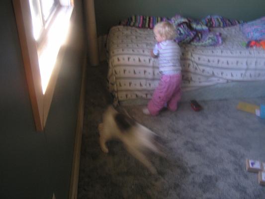 Our new cat runs away from Sarah