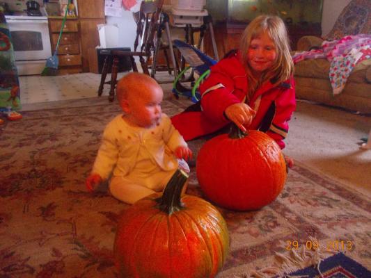 Pumpkins