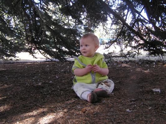 Sarah is sitting under the tree.