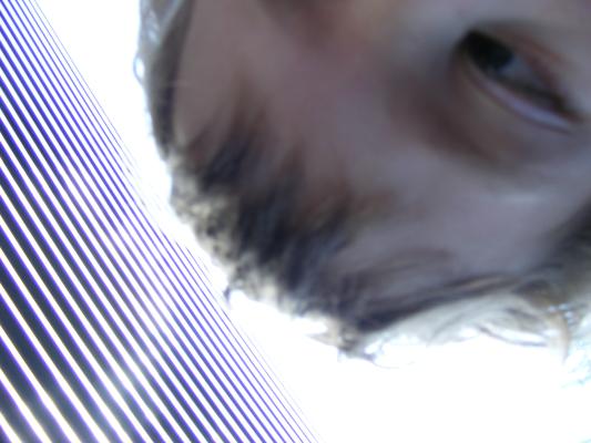 Noah's self portrate