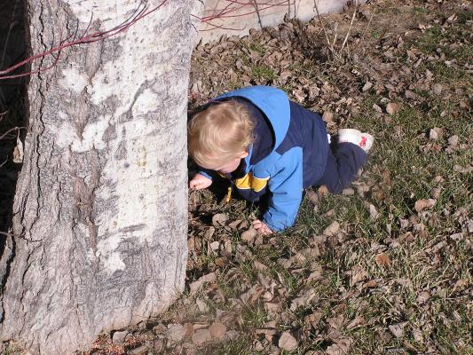 Noah plays with the leaves in our yard.