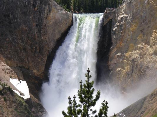Yellowstone Falls.