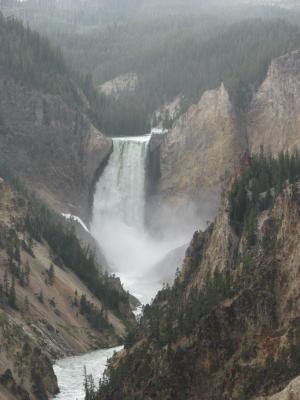 Yellowstone Falls