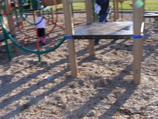 the spider park.