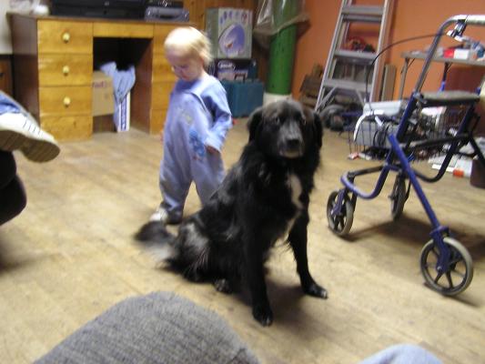 Good dog Molly