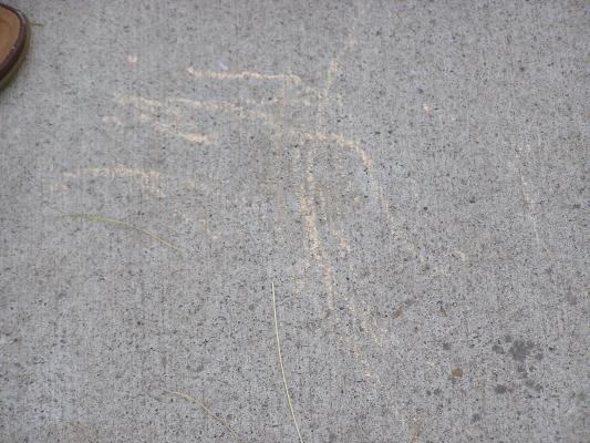 Noah's picture