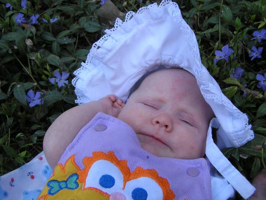 Sarah takes another nap in some flowers.