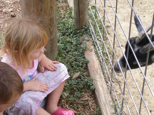 Noah and Sarah with the goats.