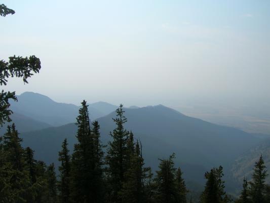 Bison Range 2006