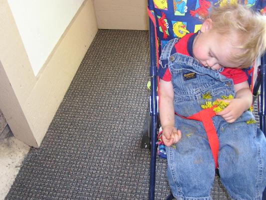 Noah is asleep in the stroller.