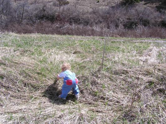 Noah takes off into the tall grass on a little hill.