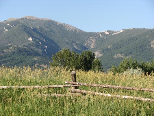 A view from Gallatin Recreation Area