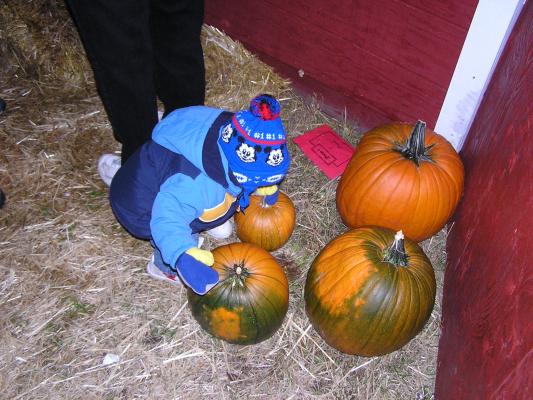 GVCC does the maze!
Noah Eder found some pumpkins.