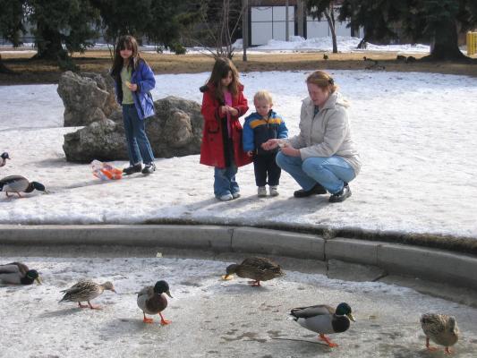 Malia, Aundrea and Noah feed the ducks at the duck pond.