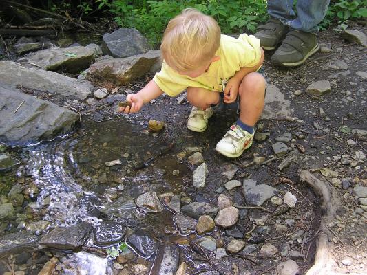 Noah looks for some good rocks to throw in the water.